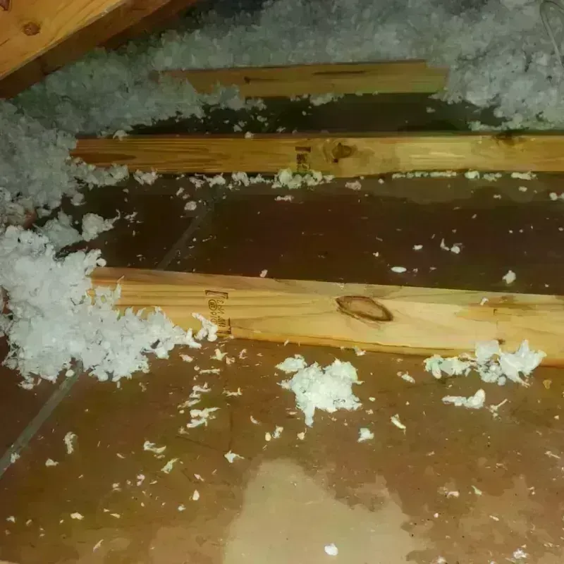 Attic Water Damage in Colleyville, TX