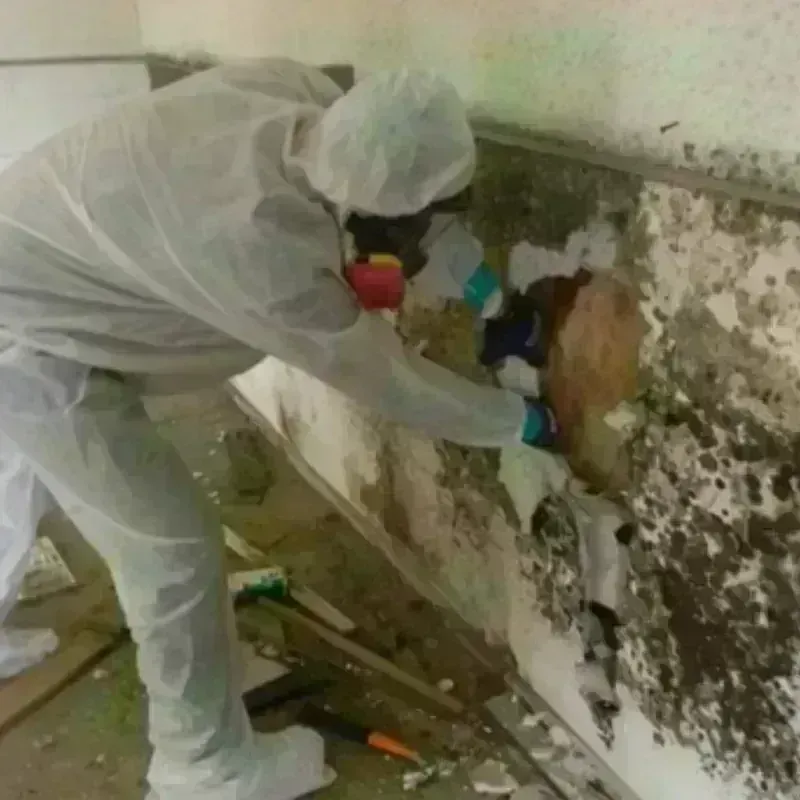 Mold Remediation and Removal in Colleyville, TX